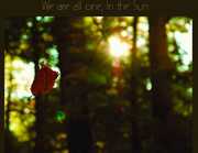We Are All One, In The Sun: A Tribute To Robbie Basho , Various Artists
