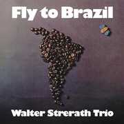 Fly to Brazil , Walter Strerath Trio