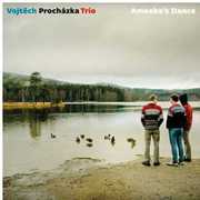 Amoeba's Dance , Vojtech Prochazka Trio