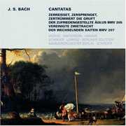 Secular Cantatas BWV 205 207 , J.S. Bach
