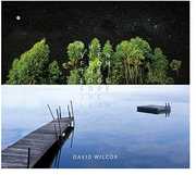 View From The Edge , David Wilcox