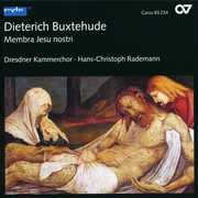 Choral Cantatas , Hans-Christoph Rademann