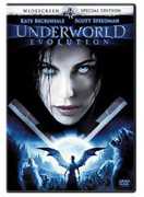 Underworld: Evolution , Kate Beckinsale