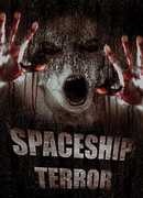 Spaceship Terror 