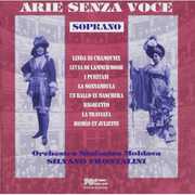 Arias Without Voice , Silvano Frontalini