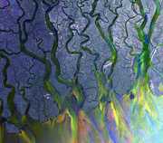 An Awesome Wave , Alt-J