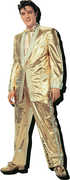 Elvis Presley Gold Lame Suit Funky Chunky Magnet 