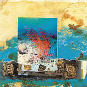 New Kiribati , Mike Cooper