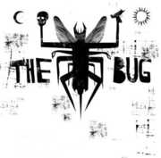 Ganja , Bug
