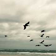 In A Moment - Music For Piano & Strings , Karl Berger