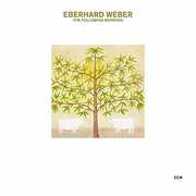 The Following Morning , Eberhard Weber