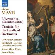 L'armonia , Franz Hauk