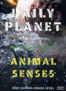 Animal Senses 