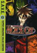 Black Cat , Brina Palencia