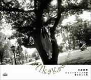 Jelly Beans No Mori [Import] , Aika Kawashima