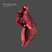 Fabriclive 92 , Preditah