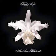 Aha Shake Heartbreak , Kings of Leon