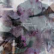 That the Days Go By & Never Come Again [Import] , Cuong Vu