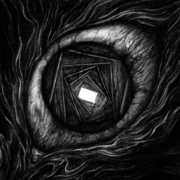 Vitrun , Carpe Noctem