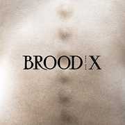 Brood X , Boss Hog
