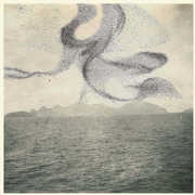 Small Murmuration , Snow Ghosts