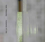 Audience of One , Oren Ambarchi