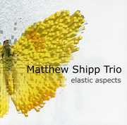 Elastic Aspects , Matthew Shipp