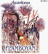 Flamboyan-River of the Stars , Awankana