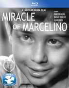 The Miracle of Marcelino , Jose Marco Davo