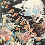 Heartworms , The Shins