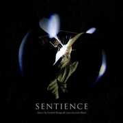 Sentience (black Vinyl) , Klingwall Fredrik & Black Julia