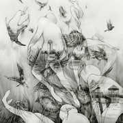 Last Dawn , Mono