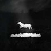 Predateurs , Les Discrets