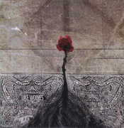 Like Wolves , Like Wolves