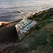 Almost Free , FIDLAR