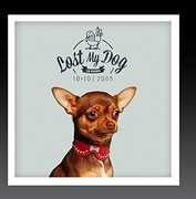 Lost My Dog 10 x 10 - 2005 , Various Artists