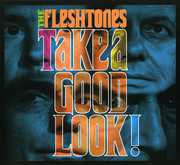 Take a Good Look , The Fleshtones