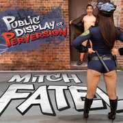 Public Display of Perversion , Mitch Fatel
