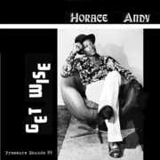 Get Wise , Horace Andy