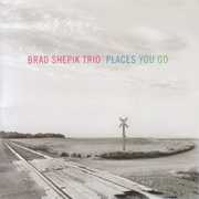 Places You Go , Brad Shepik