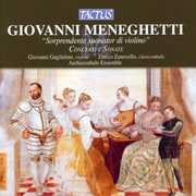 Concertos & Sonatas , Archicembalo Ensemble