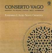 Conserto Vago 