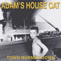 Adam's House Cat - Town Burned Down [Yellow LP]