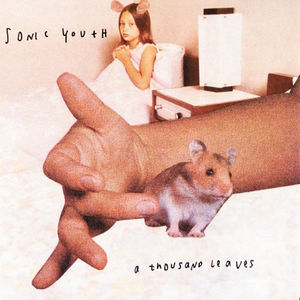 A Thousand Leaves , Sonic Youth