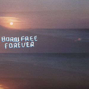 Born Free Forever , Bobby Birdman