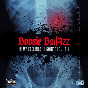 In My Feelings (Goin' Thru It) [Explicit Content] , Boosie Badazz