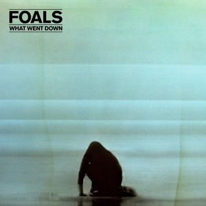 What Went Down , Foals