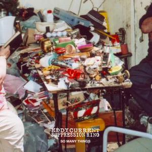 So Many Things , Eddy Current Suppression Ring