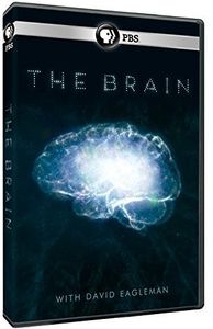 The Brain With David Eagleman