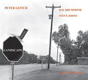 Landscape , Peter Leitch
